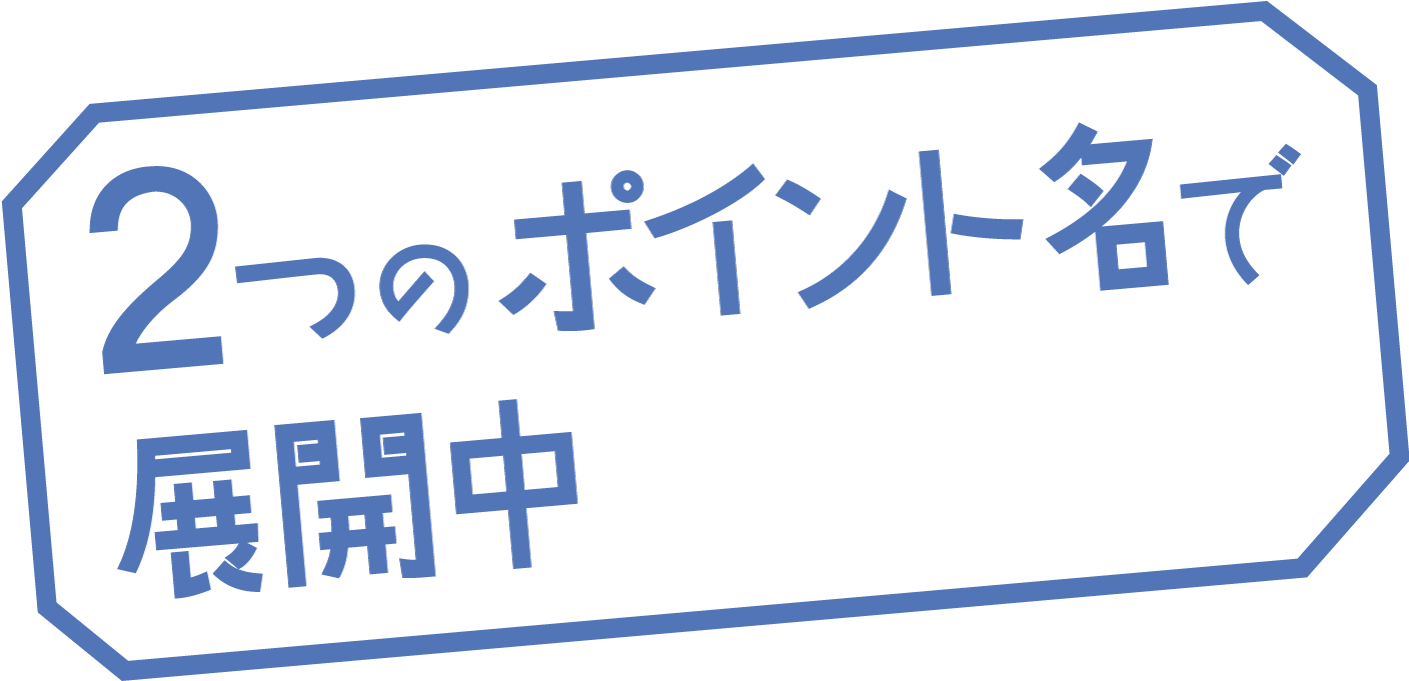 2つのポイント名で展開中！